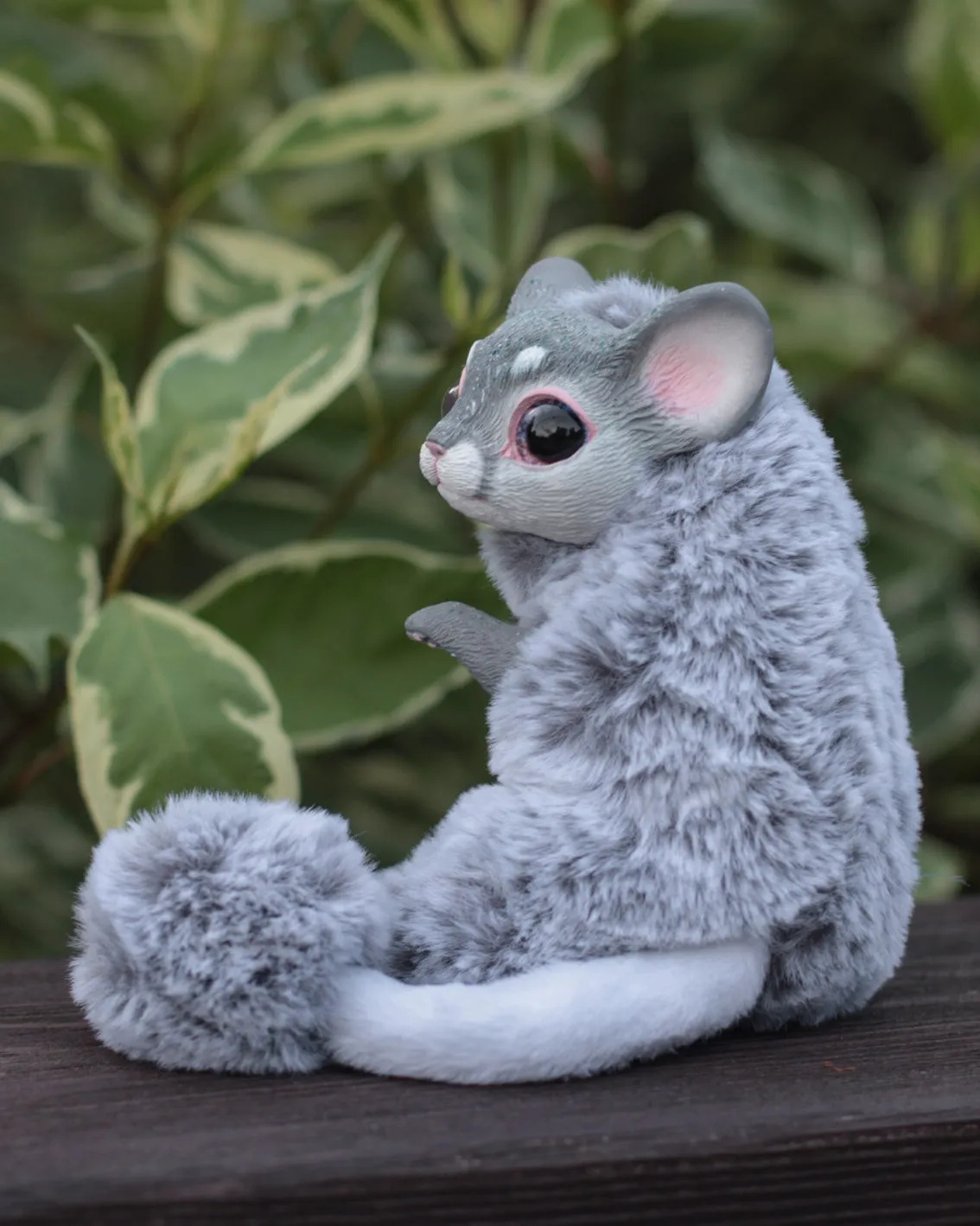 Mercurian Chinchilla