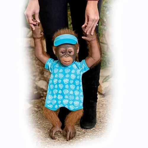 The Ashton - Drake Galleries Abe Hugs So Truly Real® Lifelike Baby Boy Monkey Doll Realistic Weighted Fully Poseable with Plush Ball Hand Applied Hair and Soft RealTouch® Vinyl Skin 22"-Inches